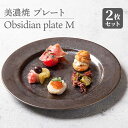 【ふるさと納税】【美濃焼】 プレートM 2枚セット Obsidian plate M pair set 食器 器 うつわ 多治見市/柴田商店 [TAL073]