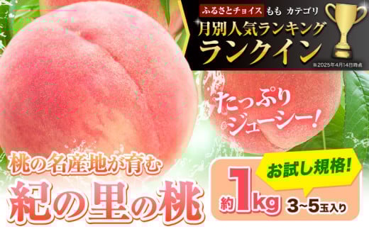 桃 ☆人気ランキング ランクイン ☆和歌山県産 紀の里の桃 約1kg (3-5玉)《2026年6月中旬-8月中旬頃出荷》 2026年 先行予約 紀の里の桃 白鳳 日川白鳳 なつっこ 清水白桃 川中島白桃 八旗白桃 和歌山 もも 一万円以下 10,000円以下