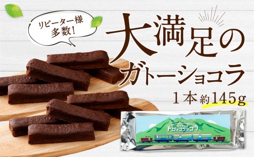 南阿蘇鉄道 トロッコショコラ 10本（約145g×10本）【2026年9月発送】菓子 お菓子 焼き菓子 チョコ風味 ショコラ ガトーショコラ 個包装 小分け