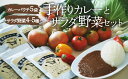 【ふるさと納税】【シェフの目線】 旬の 野菜セット × こだわりの 手作り カレー（5袋）栽培期間中 農薬不使用 カレー レトルトカレー サラダ 野菜 詰め合わせ 大洲市/ヒロファミリーフーズ[AGBX025] 24000円 24000 二万四千