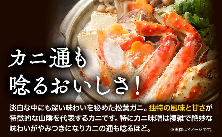 活き タグ付き 松葉ガニ カニ 1kg 1杯 さんチョク《11月中旬から4月上旬頃出荷》鳥取県 八頭町 送料無料 蟹 かに 鍋 ズワイガニ ズワイ蟹 生 冷蔵