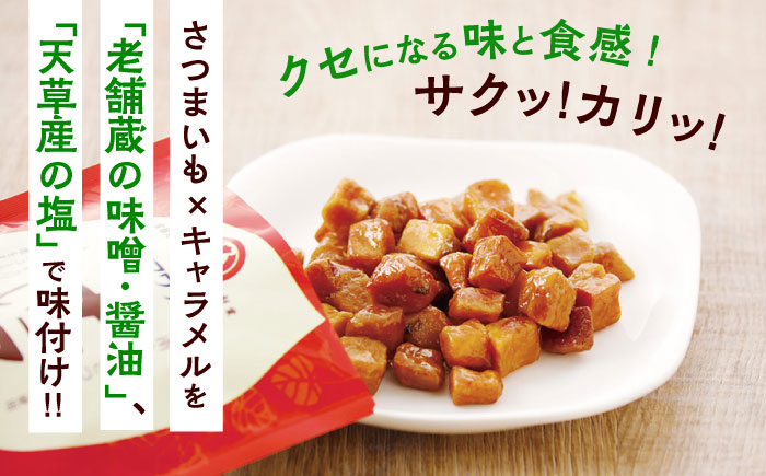 キャラいもキューブ アソート 12袋セット 計480g(味噌・しょうゆ・塩 各4袋)【株式会社山内本店】 [BHAE039]