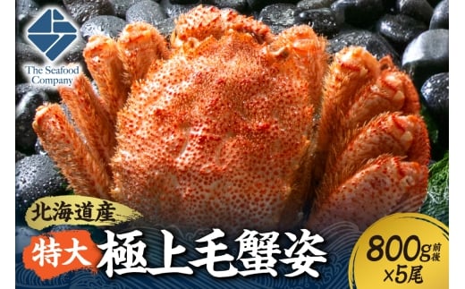 特大極上毛蟹姿　800g前後×5尾セット