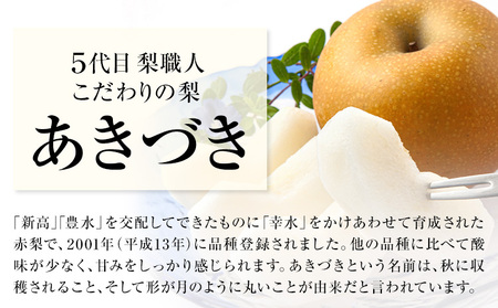 梨 あきづき 約5kg 《9月上旬-9月末頃出荷》梨梨梨梨あきづきあきづき