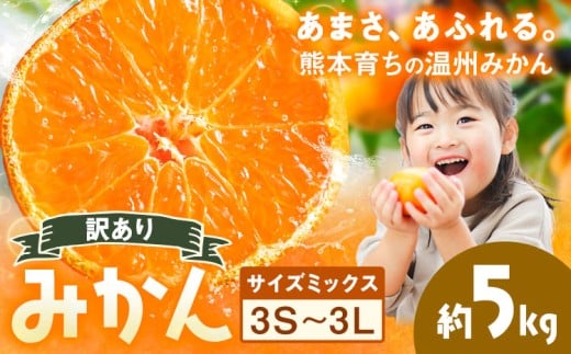 訳あり 温州みかん サイズミックス 3S ～ 3L 約5kg 日本フルーツ株式会社《10月中旬-2月下旬頃出荷予定》熊本県 荒尾市 みかん 温州みかん ミカン 蜜柑 柑橘類 訳あり ご家庭用 サイズ不揃い 果物 フルーツ