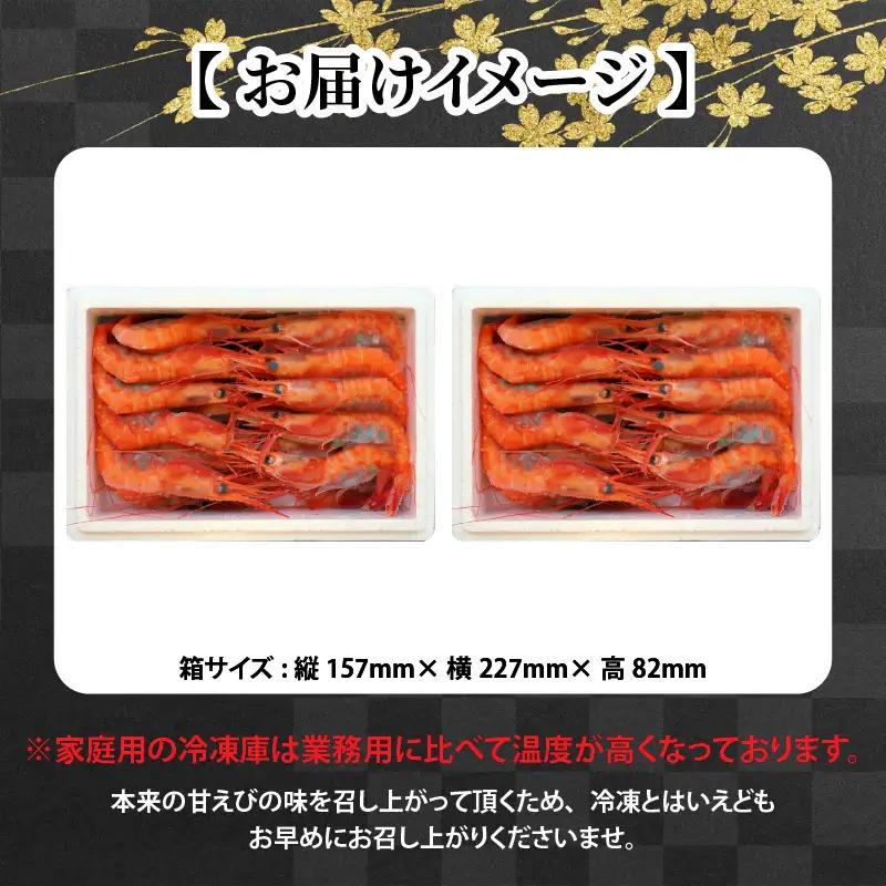 海の上で食べる味！漁船直送☆船内瞬間冷凍 プレミアム甘えび 約650g × 2 【殻付き 有頭 生食 刺身 冷凍 魚介類 魚貝類 産地直送 坂井市産 福井県産 国産 三国 人気】 [B-2319]