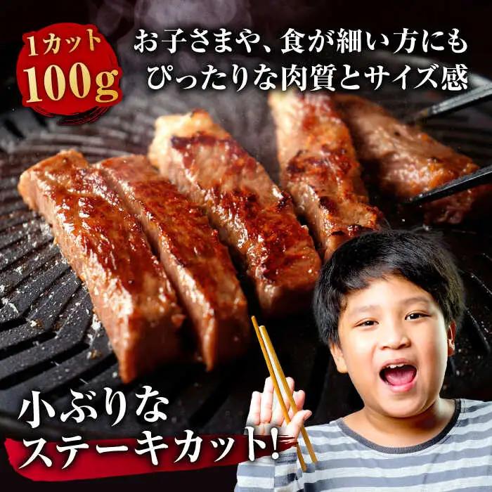 佐賀牛 モモステーキ 約100g×5枚 すてーき 赤身 もも [FDB057]