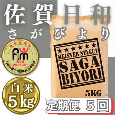 ふるさと納税 みやき町 【毎月定期便】さがびより白米5kg【五つ星お米マイスター厳選!】_SS1048全5回