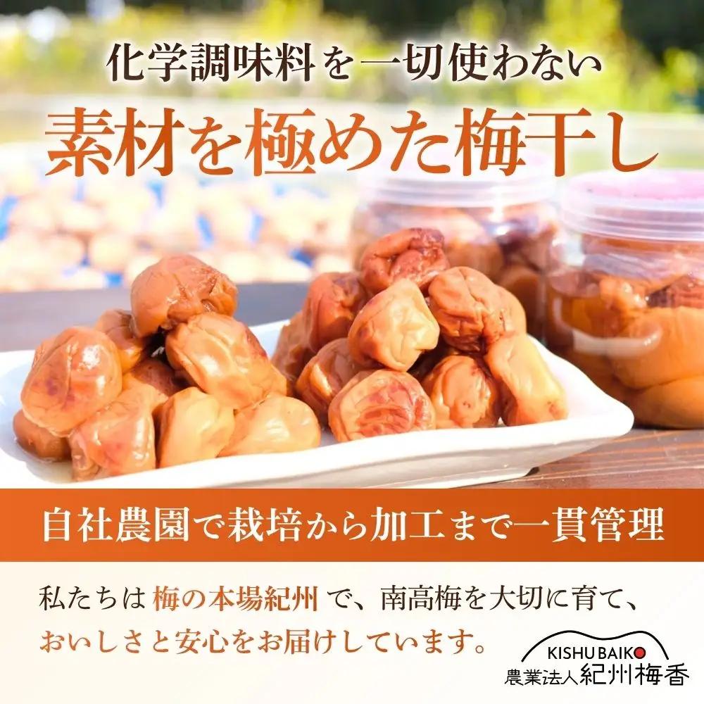【訳あり】【白干し梅】無添加梅干し ひょう被害エール規格外昔ながらの梅干し 塩のみで漬けたすっぱい梅干し 1kg（500gパックx2個）塩分20% 20-HYO baiko017 ［KU13］ 【ba