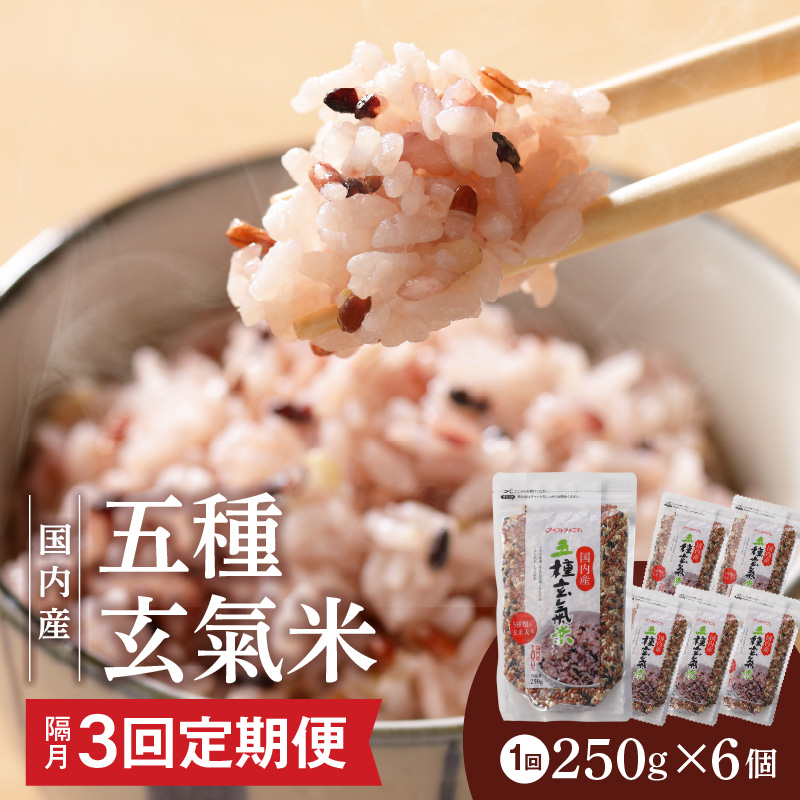 【隔月3回　定期便】国内産 五種玄氣米 250g×6個 1500g×3回_国内産 五種玄氣米 250g×6個 お届け回数 3回 玄米 ブレンド 雑穀米 もち赤米 うるち玄米 もち玄米 もち黒米 もち緑