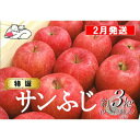 【ふるさと納税】【2月発送】白熊 特選 サンふじ 絆 約3kg 糖度13度【弘前市産 青森りんご】　 果物 フルーツ 食後 デザート シャキシャキ ジューシー りんごの王様 　お届け：2025年2月1日～2025年2月28日