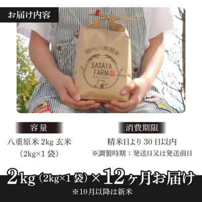 ふるさと納税 東御市 令和7年新米受付【12回定期便】八重原米2kg(2kg×1袋)玄米※2025年10月以降発送笹屋農園 |  | 02