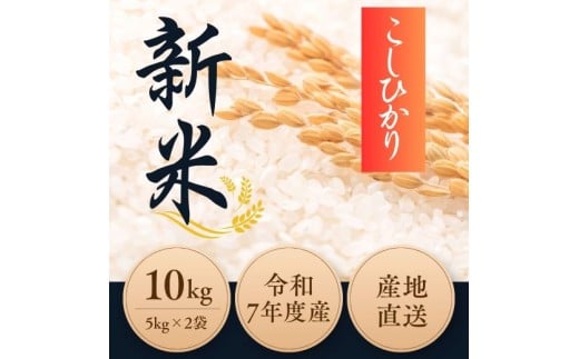1F16 令和7年度産 新米コシヒカリ 10kg