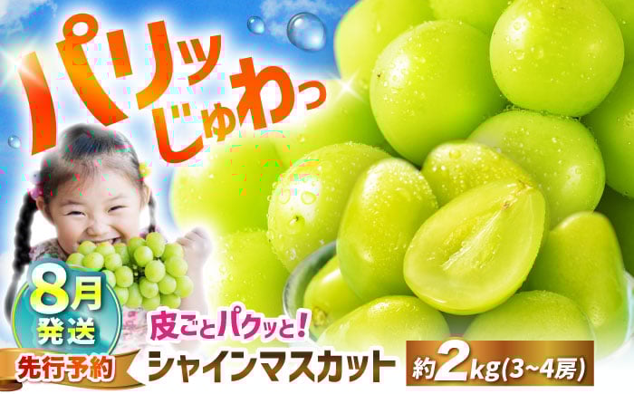 
            シャインマスカット 【2026年8月発送】約2kg（3～4房） マスカット ＜濱崎農園＞ [CGN003] 長崎 西海 マスカット 果物 フルーツ シャインマスカット ますかっと
          