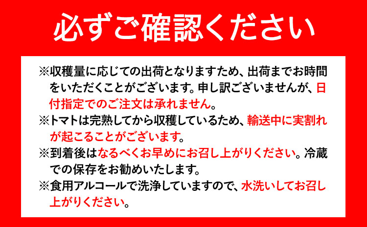 ZEPPIN TOMATO Okayama 1kg箱 (ZEPPIN EX) 平均糖度12度 甘い フルーツトマト トマト ミニトマト フルーツトマト トマト ミニトマト とまと 野菜 トマト ---