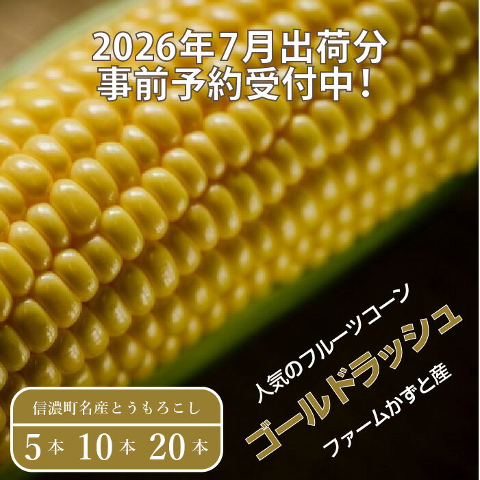 【ふるさと納税】2026年夏のご予約受付開始！ 信濃町名産とうもろこし『ファームかずとのゴールドラッシュ 5本 / 10本 / 20本セット』粒皮が薄く生でも食べられる、フルーツを凌ぐほどの甘いとうもろこし 朝採れを農場から直送　令和8年7月下旬～8月下旬出荷分 先行予約