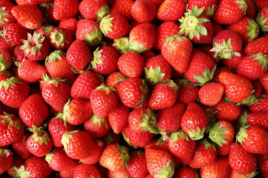 
                  たっぷり！！キンド酵素栽培いちご【いちごさん２７０ｇ×８パック】
                