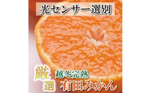 
＜先行予約＞厳選 越冬完熟みかん1.5kg+45g（傷み補償分）ハウスみかん・木熟みかん【光センサー選別】＜1月より発送＞※北海道・沖縄・離島への配送不可
