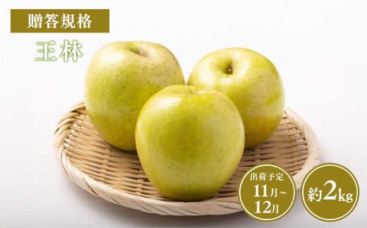 ≪令和7年産先行受付≫贈答用王林約2kg【青森県 平川市 山内ファーム】贈答 贈答規格 平川市産 青森りんご りんご リンゴ 林檎 完熟 群馬名月 名月 お取り寄せ 先行予約 果物 くだもの フルーツ 