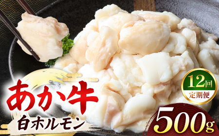 【定期便 12回】あか牛 白 ホルモン 計500g (250g×2P) | 肉 にく お肉 おにく 牛 あか牛 ホルモン 白ホルモン 熊本県 玉名市 定期 定期便
