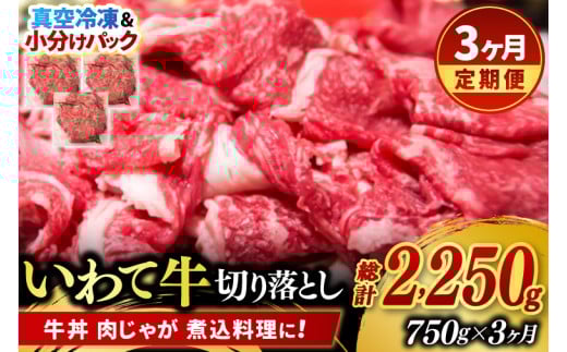 ＼3ヶ月連続 定期便／ 切り落とし 肉 牛肉 小分け 真空冷凍 いわて牛 750g (総計 2250g) 岩手県産 和牛 牛肉 黒毛 和牛 切り落とし肉 大容量 肉 すき焼き 肉じゃが 煮込み 煮物 赤身 国産牛 小分け 冷凍 数量限定 (AB104)