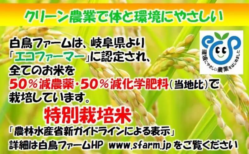 【令和7年産】特別栽培米 30kg【白米、7分ツキ】（夢ごこち） 7分ツキ