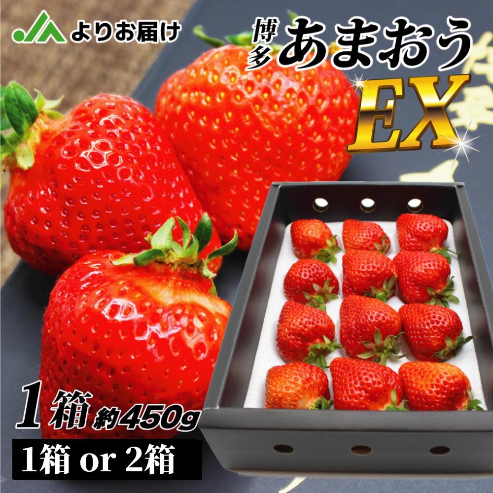 【ふるさと納税】＜12月・1月発送＞「博多あまおう」EX　贈答用化粧箱 約450g 1箱 / 2箱【ほたるの里】 いちご あかい まるい おおきい うまい 贈答用 家庭用 ご褒美 おやつ 果物 季節 フルーツ ご褒美 送料無料