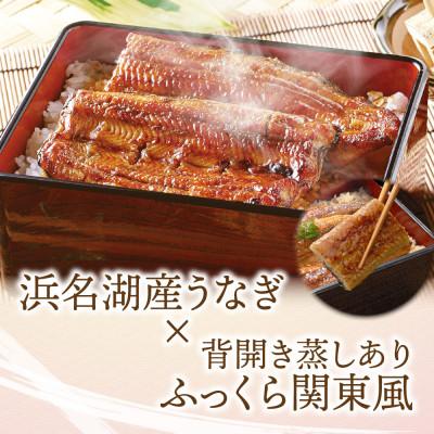 ふるさと納税 磐田市 浜名湖産 うなぎ蒲焼 2尾入り |  | 01