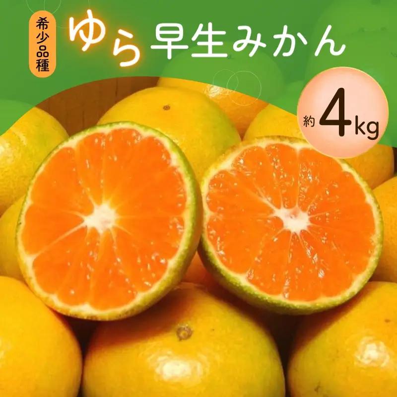 みかん 希少品種 ご家庭用 ゆら早生みかん 約4kg サイズ混合【nuk162B】 
