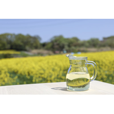 なのはな油600g×2(愛知県産菜種100%使用、昔ながらの一番搾り製法)【1261086】