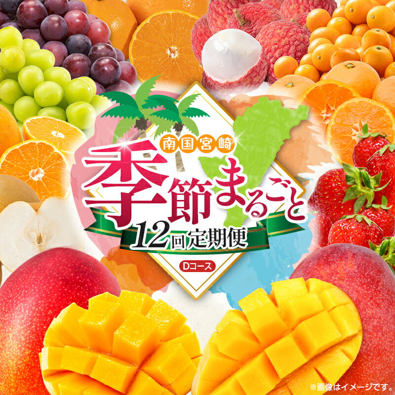 【ふるさと納税】【12回定期便】旬 人気 フルーツ 南国宮崎産 マンゴー ライチ 金柑たまたまエクセレント シャインマスカット ピオーネ いちご みかん 梨 柑橘 太陽のタマゴ きんかん たまたま ぶどう 果物 詰め合わせ 宮崎県 九州 1年 毎月お届け＜Dコース M400＞