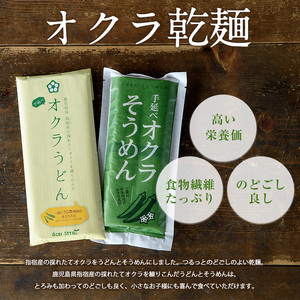 オクラそうめんとオクラうどんのセット アグリスタイル IB066-002 そうめん そうめん 