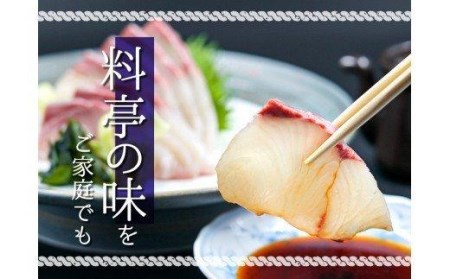 【 カンパチ 】 カンパチ 半身