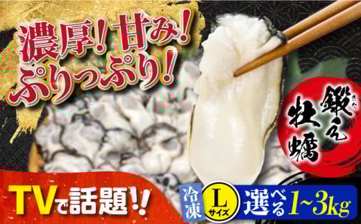 他の牡蠣とは味がちがう！広島産 大粒 牡蠣 鍛え牡蠣 むき身 Lサイズ（冷凍） 牡蠣 かき オイスター BBQ バーベキュー キャンプ 江田島市/有限会社寺本水産[XAE024] 牡蠣 生食 冷凍 むき身 殻付き 殻付 殻 かき カキ 生牡蠣 広島牡蠣 オイスター カキフライ 魚介類 魚介 貝類 海鮮 広島県産 国産 産地直送 贈答 ギフト 特産品