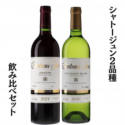 ふるさと納税 甲州市 シャトージュン　2品種飲み比べセット　C5-669