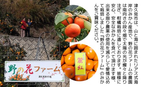 【先行予約・数量限定】野の花ファーム 訳あり 麗紅 3kg みかん ミカン オレンジ 蜜柑 フルーツ 旬 果物 くだもの 大分県産 九州産 津久見市 国産【tsu002802】
