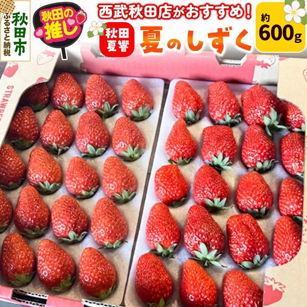 西武秋田店がおすすめする秋田の推し 秋田県産 いちご「秋田夏響」 なつひびき 約600g【先行受付】「夏のしずく」のブランド