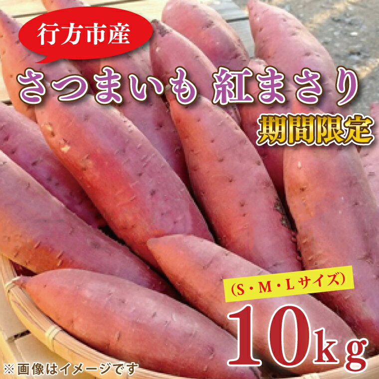 【ふるさと納税】【2026年2月中旬より順次発送】野原さんちのさつまいも 紅まさり 約10kg｜芋 さつまいも サツマイモ お芋 いも 紅まさり 期間限定 先行予約 茨城県 行方市(EL-2)