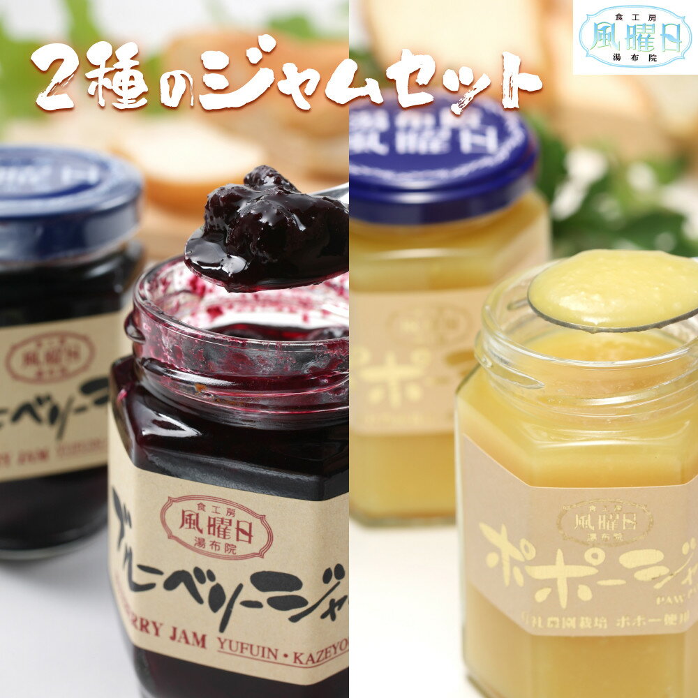 【ふるさと納税】【食工房　風曜日】2種のジャムセット（ブルーベリー・ポポー） | 由布市 ジャムセット ポポー ブルーベリー フルーツジャム 朝食 デザート 大分特産品 由布院 大分県 お取り寄せ ふるさと納税