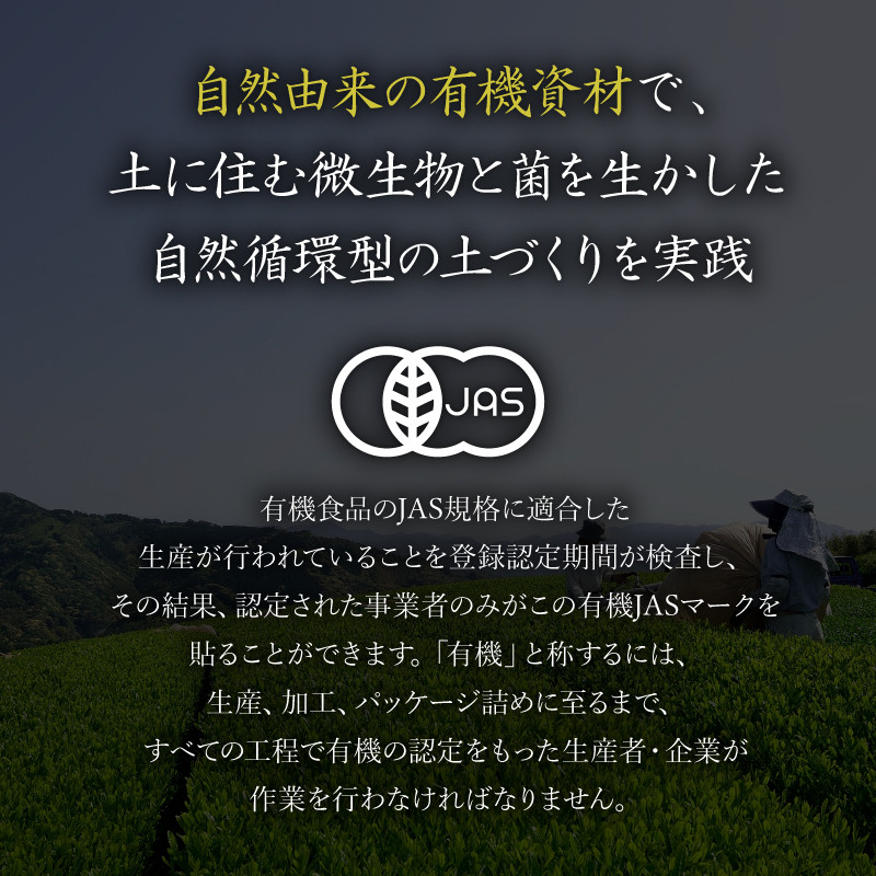 煎茶 ティーバッグ 6袋 セット 有機 オーガニック 岡部茶 お茶 静岡 茶葉 日本茶 静岡県 藤枝市