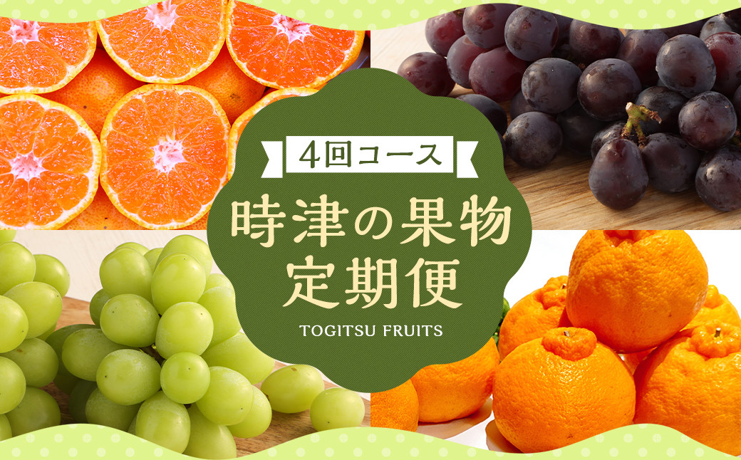 
            【定期便 4回コース】時津の果物定期便 みかんとぶどうの町から贈る 特産品の定期便 定期便 4回 果物 くだもの フルーツ シャインマスカット 巨峰 みかん 不知火
          