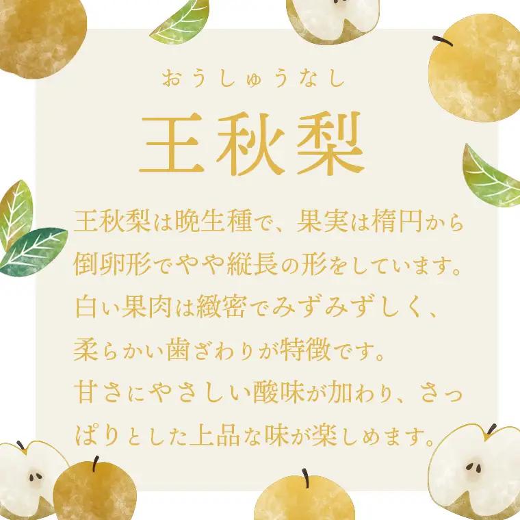王秋梨 約3kg 10月上旬発送  梨 先行受付