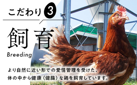 半年間定期便！御殿たまご24個入（破損保障含む）モウルドパック月2回（12・27日）コース ※北海道・沖縄・離島への配送不可