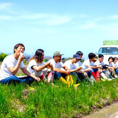 ふるさと納税 近江八幡市 【令和7年産】大粒で食べ応えあり にじのきらめき白米10kg(5kg×2【滋賀県近江八幡市・近江米】 |  | 03