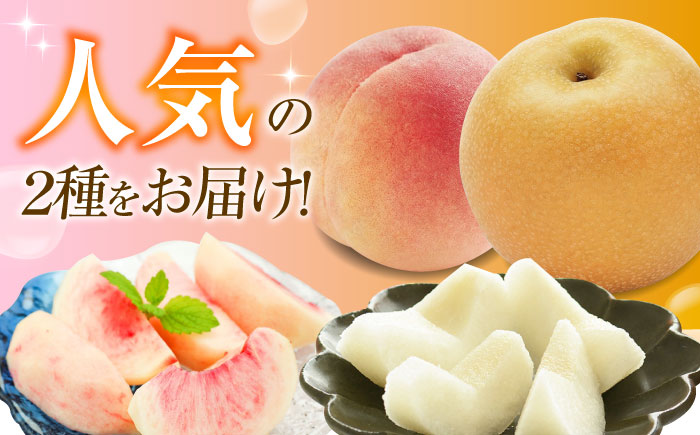 【先行予約】 藤渕果樹園の桃・梨セット 各6玉 〈2026年8月～発送〉 ／ 桃 もも 梨 なし フルーツ 果物 くだもの 季節のフルーツ 【株式会社内子フレッシュパークからり】 [BKAD077]