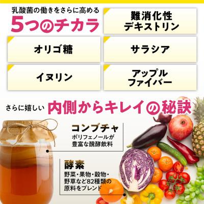 ふるさと納税 養老町 乳酸菌サプリメント ナノ型乳酸菌10兆個&ビフィズス菌配合 菌活すっきり 6袋(6ヶ月分) |  | 03