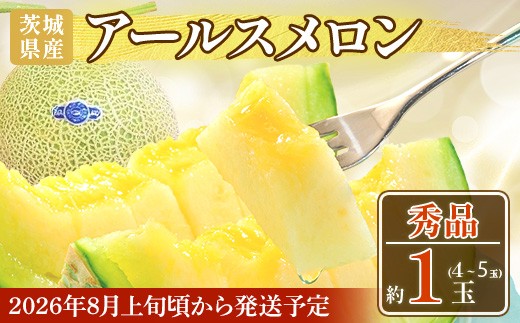 768 アールスメロン 秀品1玉（4L～5L）茨城県 JA水戸 フルーツ 果物