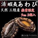 【ふるさと納税】【先行予約(12月発送)】岩手県より獲れたて鮮魚直送便 【活蝦夷アワビ150g×2個】【配送不可地域：離島・北海道・沖縄県・関東・信越、北陸・東海・近畿・中国・四国・九州】【1554527】