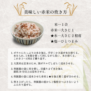 古代米 2袋 500g 雑穀米 赤米 玄米 DG004