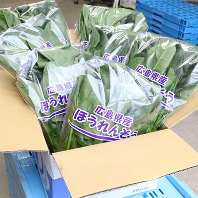 新鮮朝採れ!安芸太田町産ほうれんそう　200g×7束【配送不可地域：離島・北海道・沖縄県】